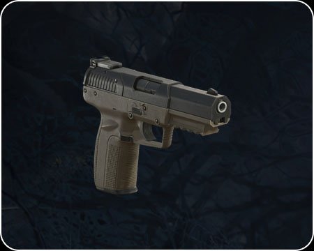 مسدس Punisher